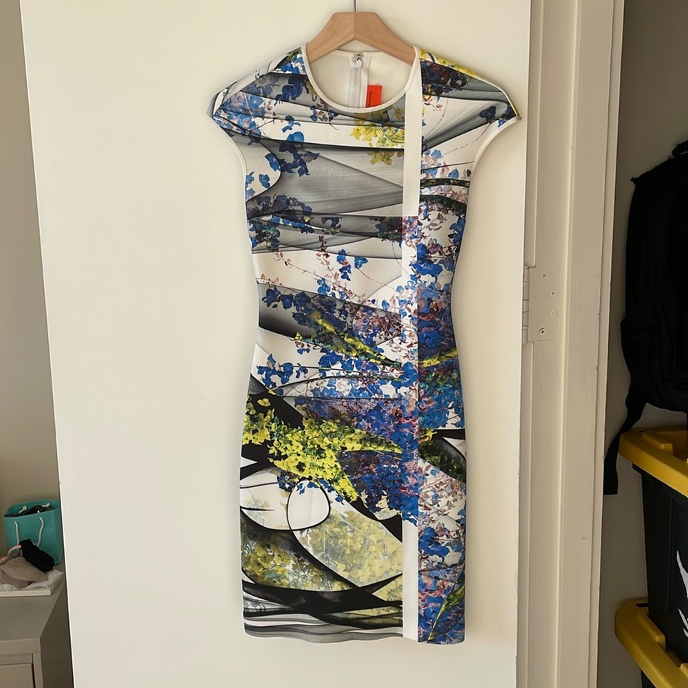 Clover Canyon dress